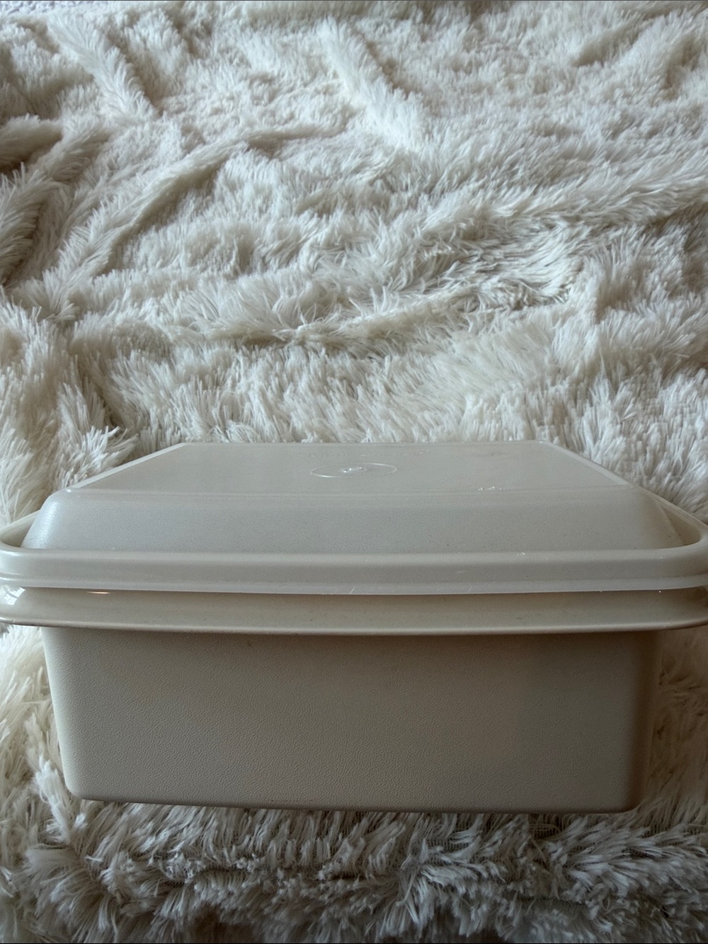 Tupperware Vintage ice cream keeper